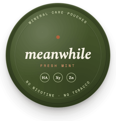 meanwhile · Fresh Mint - 5-tin supply