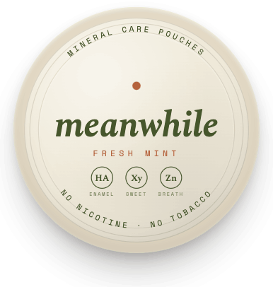 meanwhile · Fresh Mint - 5-tin supply